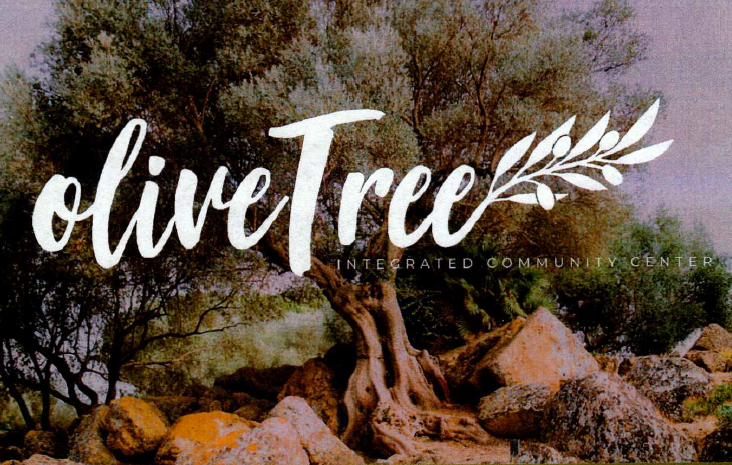 Olive Tree