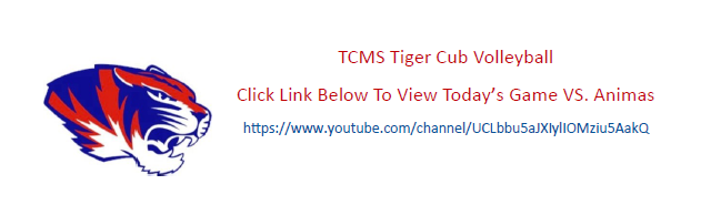 TCMS Tiger Cub Volleyball